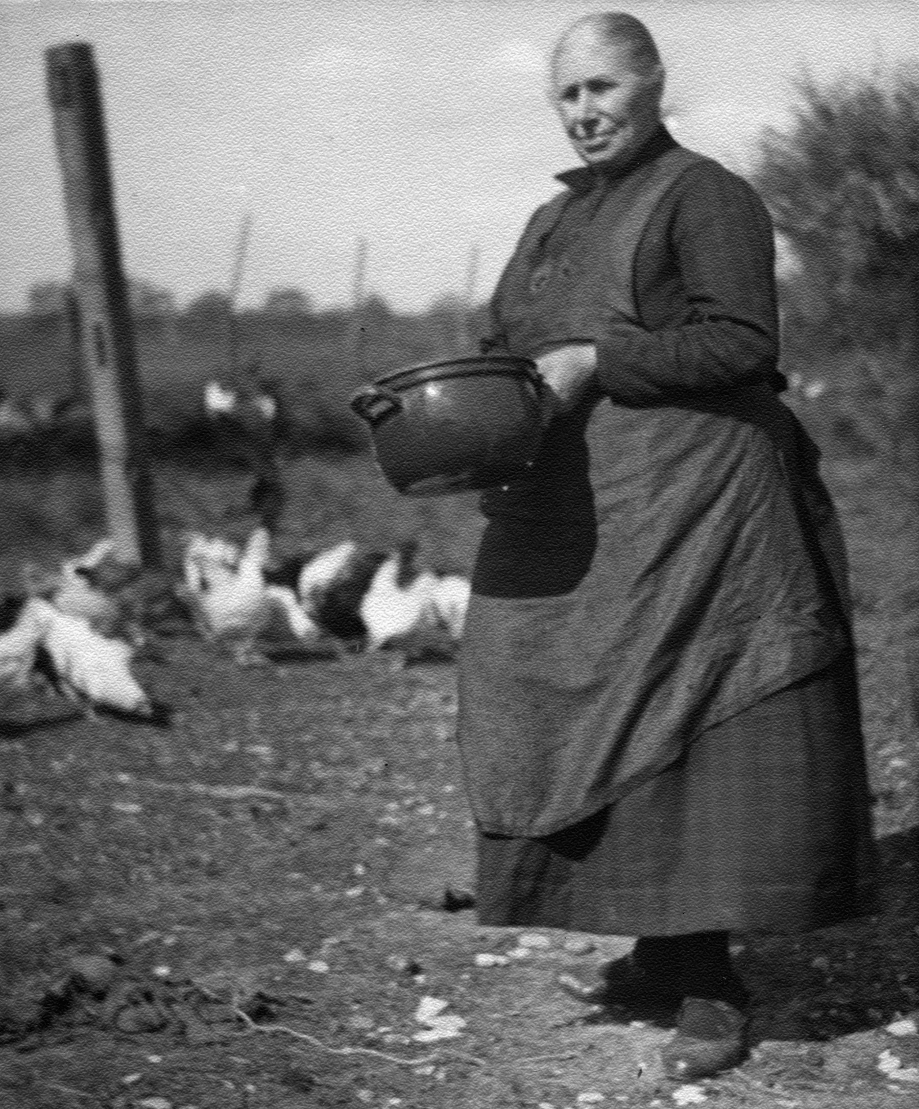 „Besud sien Sofie“ (Sofie Besude) beim Hühnerfüttern, ca. 1930er-Jahre.