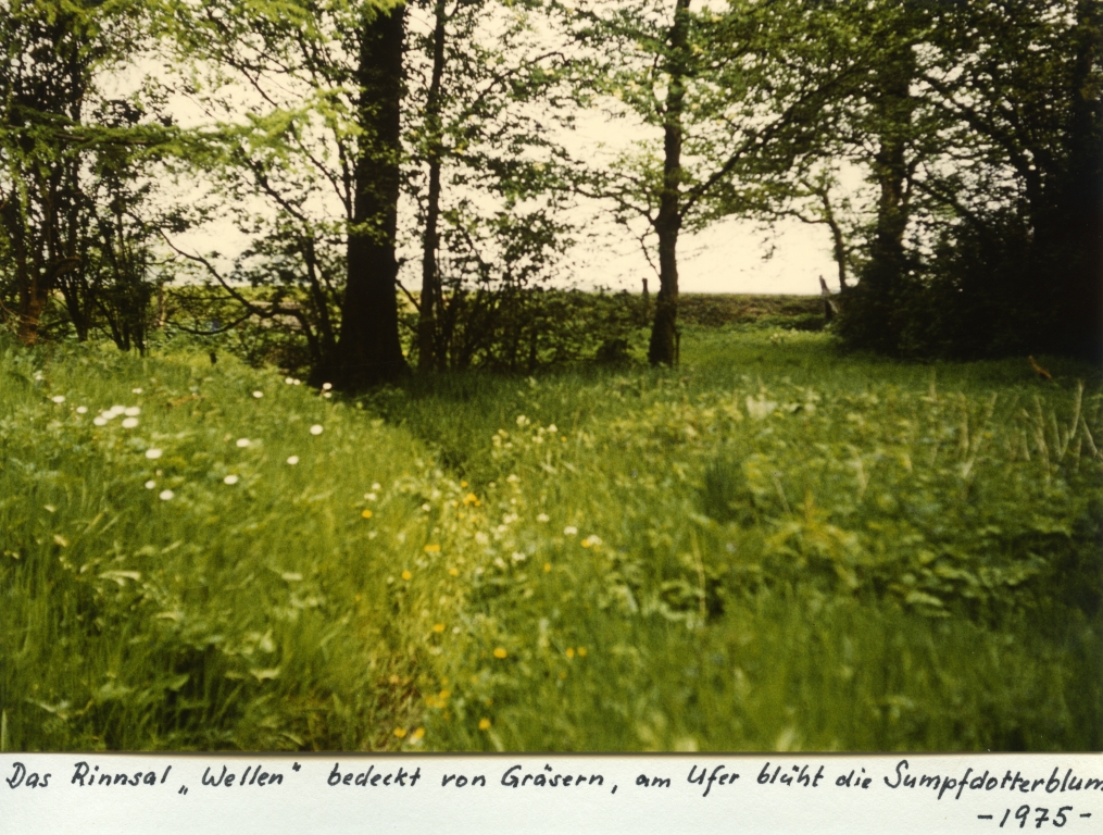 2 Rinnsal Wellen Quelle