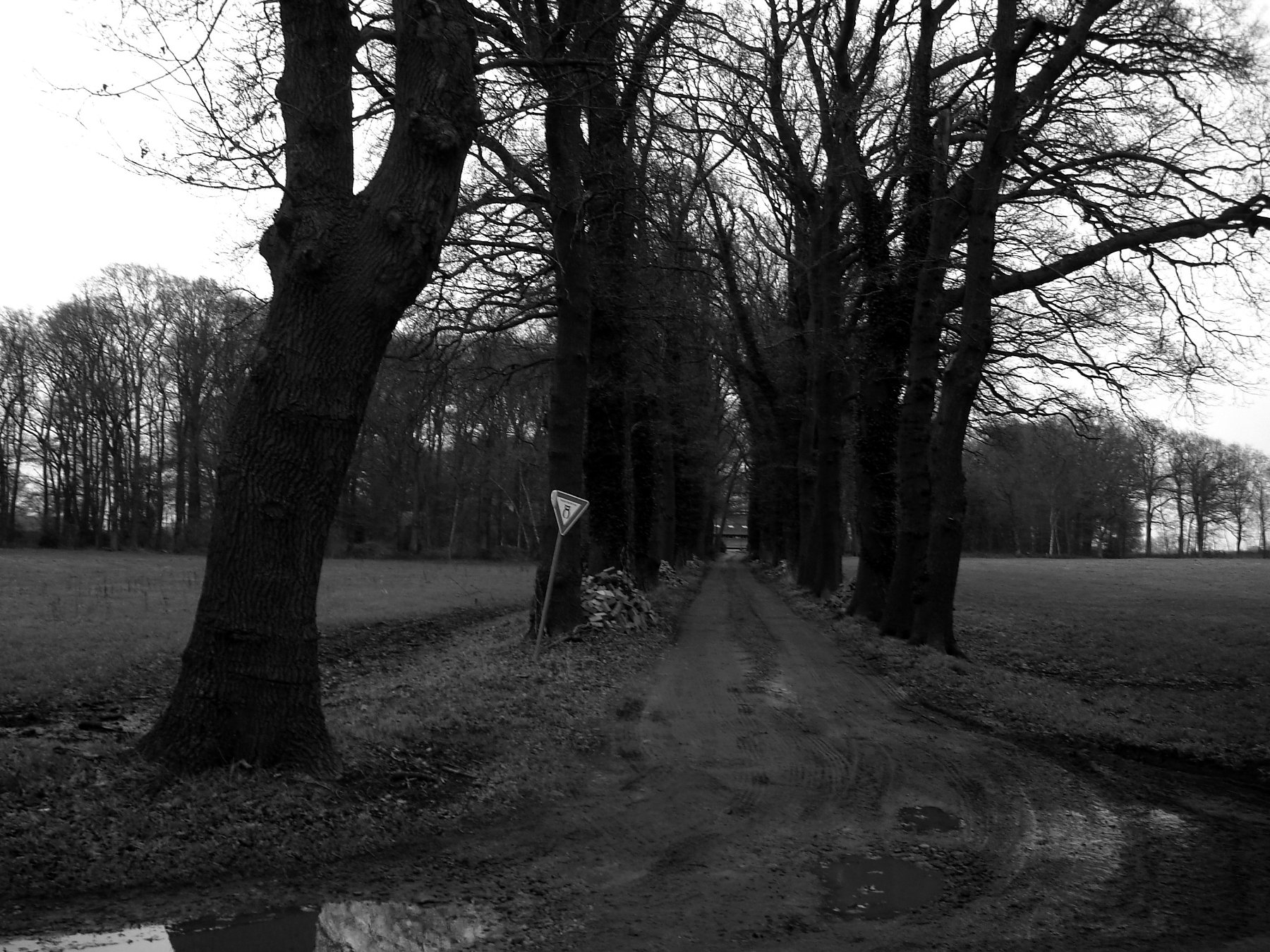 3 Wellmann Naturdenkmal DSC01911