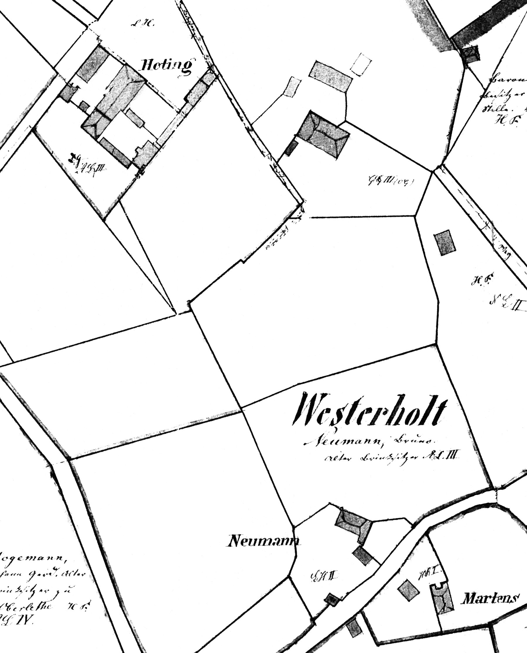 1 Hoting Auss ohne Zahl Parzellarhandriss