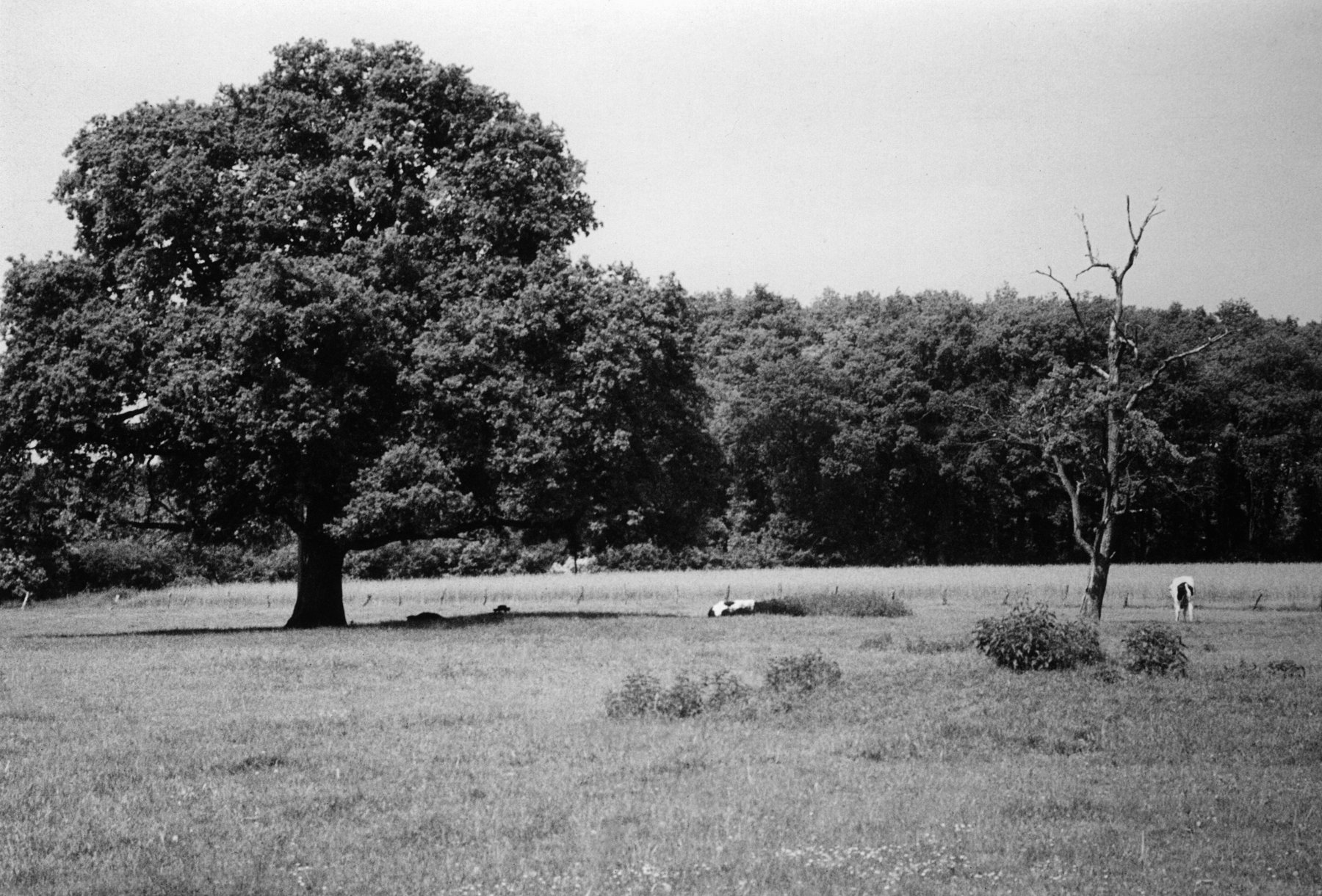 2 Alte Eiche frueher Gerdes Hof um 1800