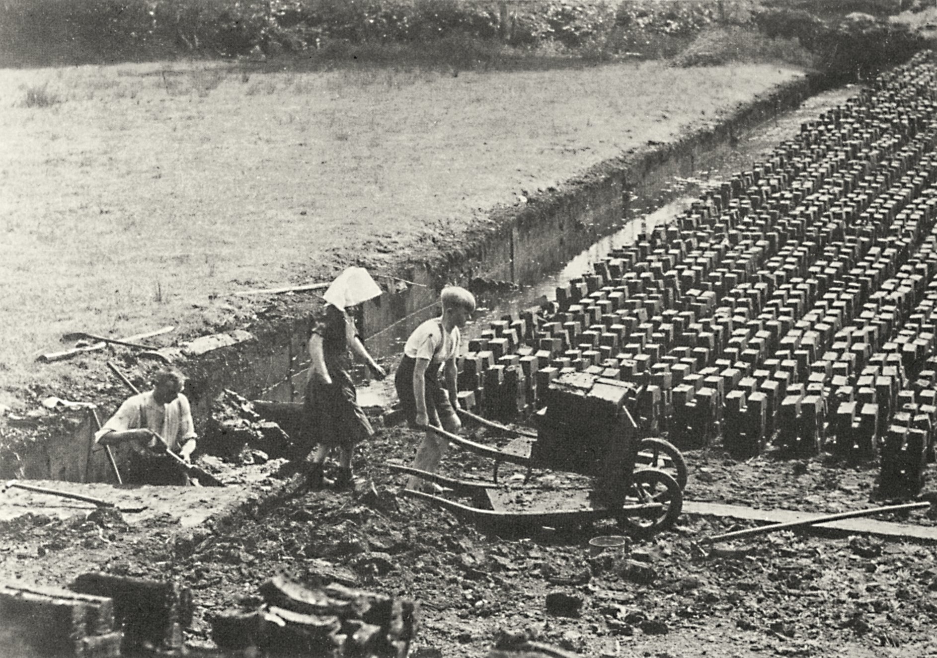 Torfabbau Tacke Lehmann